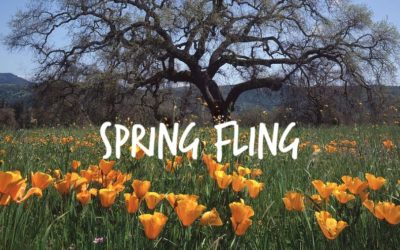Spring Fling - Jeff Runquist Wines