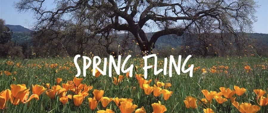 Spring Fling - Jeff Runquist Wines