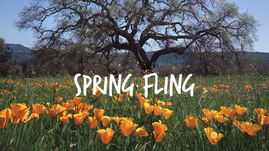 Spring Fling - Jeff Runquist Wines