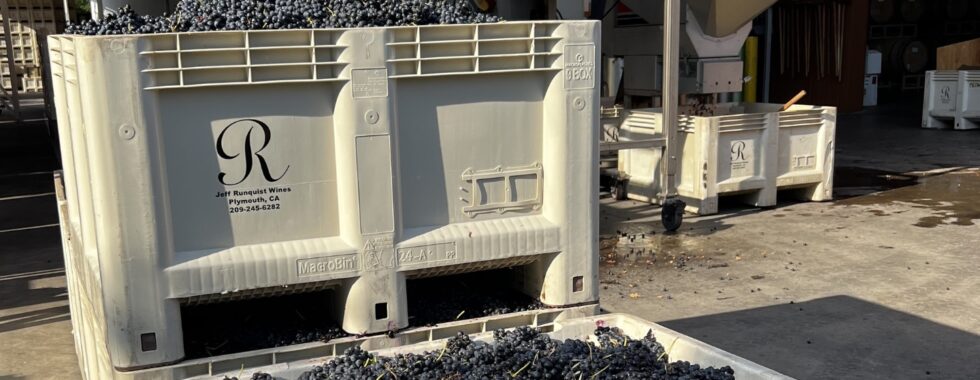 Jeff's letter for September - Jeff Runquist Wines (2)