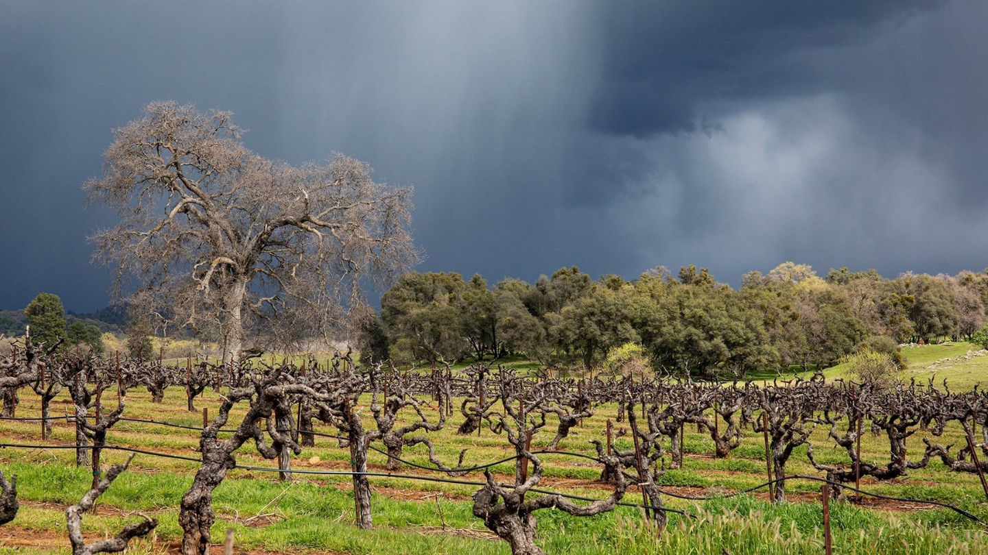 Jeff Runquist Wines - Jeff Letter January 2026