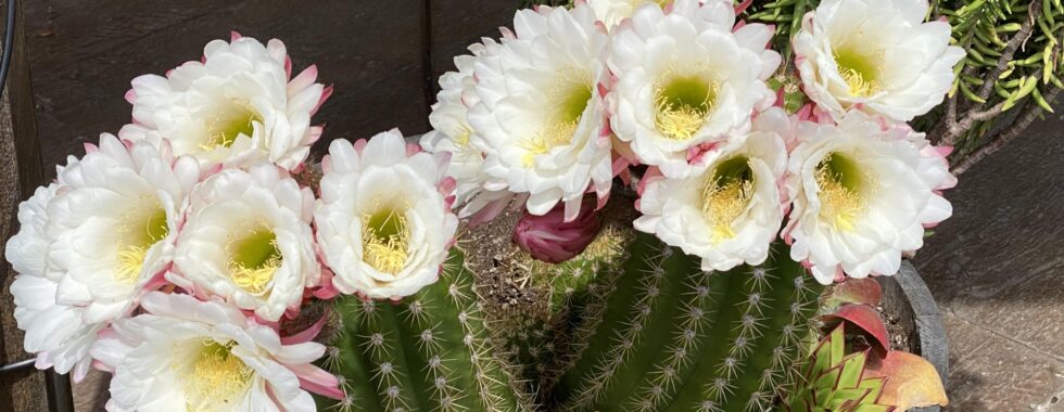 Jeff's Letter From May 2026