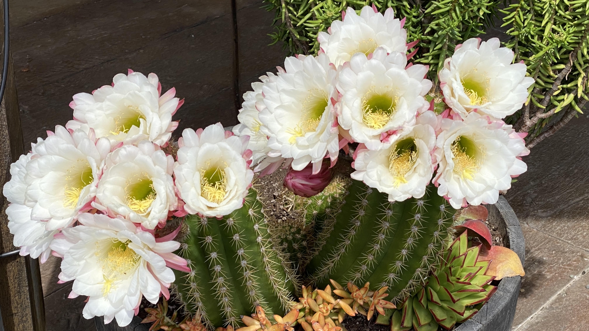 Jeff's Letter From May 2026